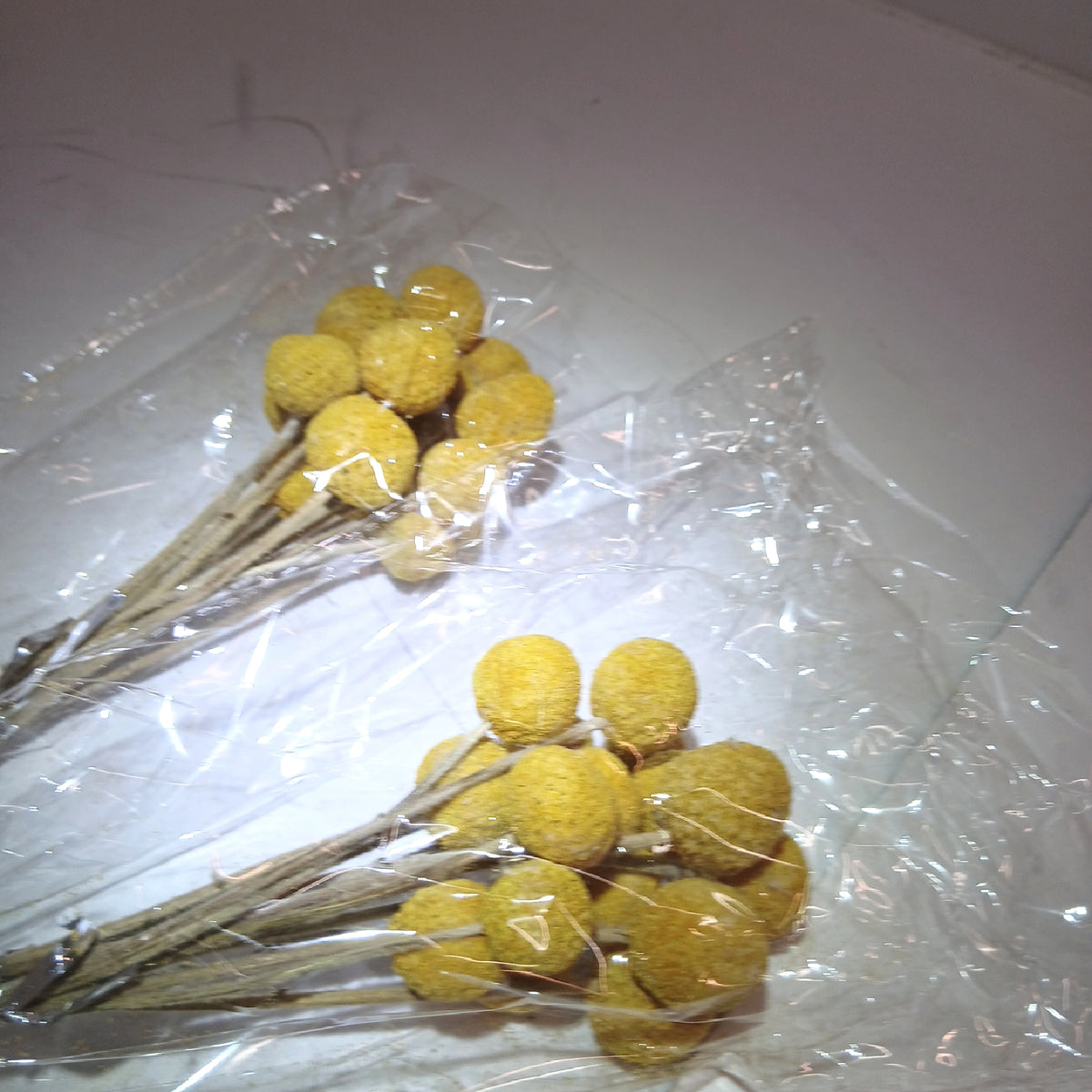Craspedia Trockenblumen-Strauß, 32 Kugeln, goldgelb – Wie neu