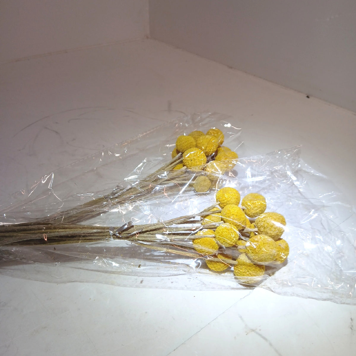 Craspedia Trockenblumen-Strauß, 32 Kugeln, goldgelb – Wie neu