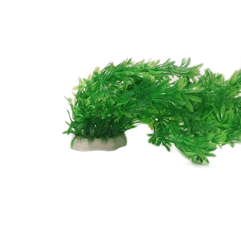 Awlstar Aquarium Pflanzen Set Aquarien naturgetreu realistisch – Wie neu