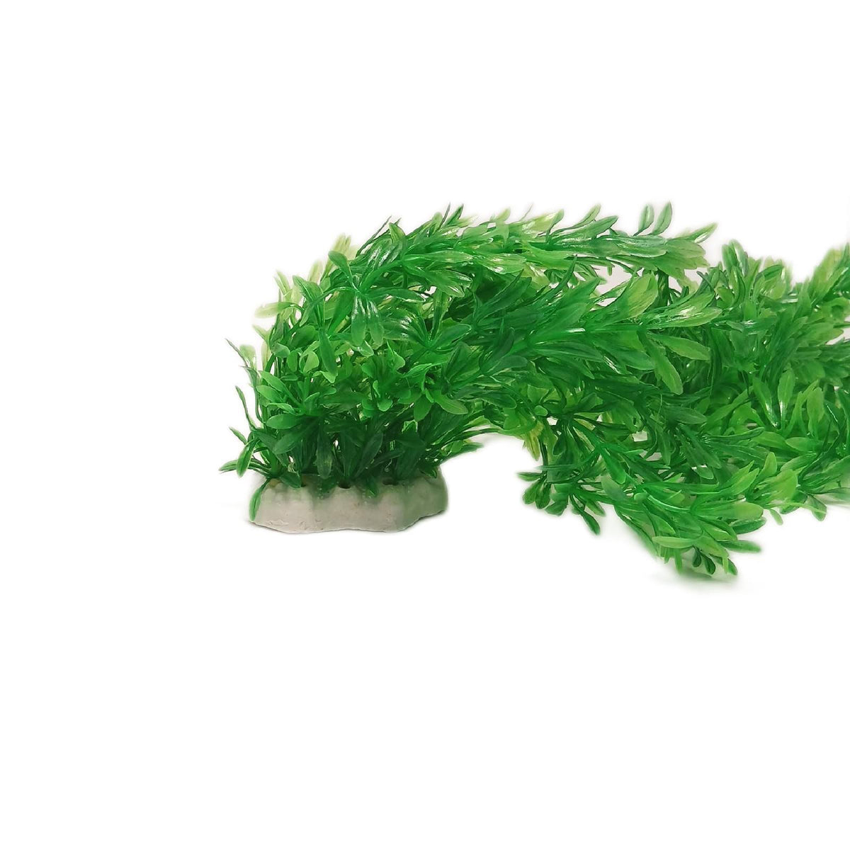 Awlstar Aquarium Pflanzen Set Aquarien naturgetreu realistisch – Wie neu