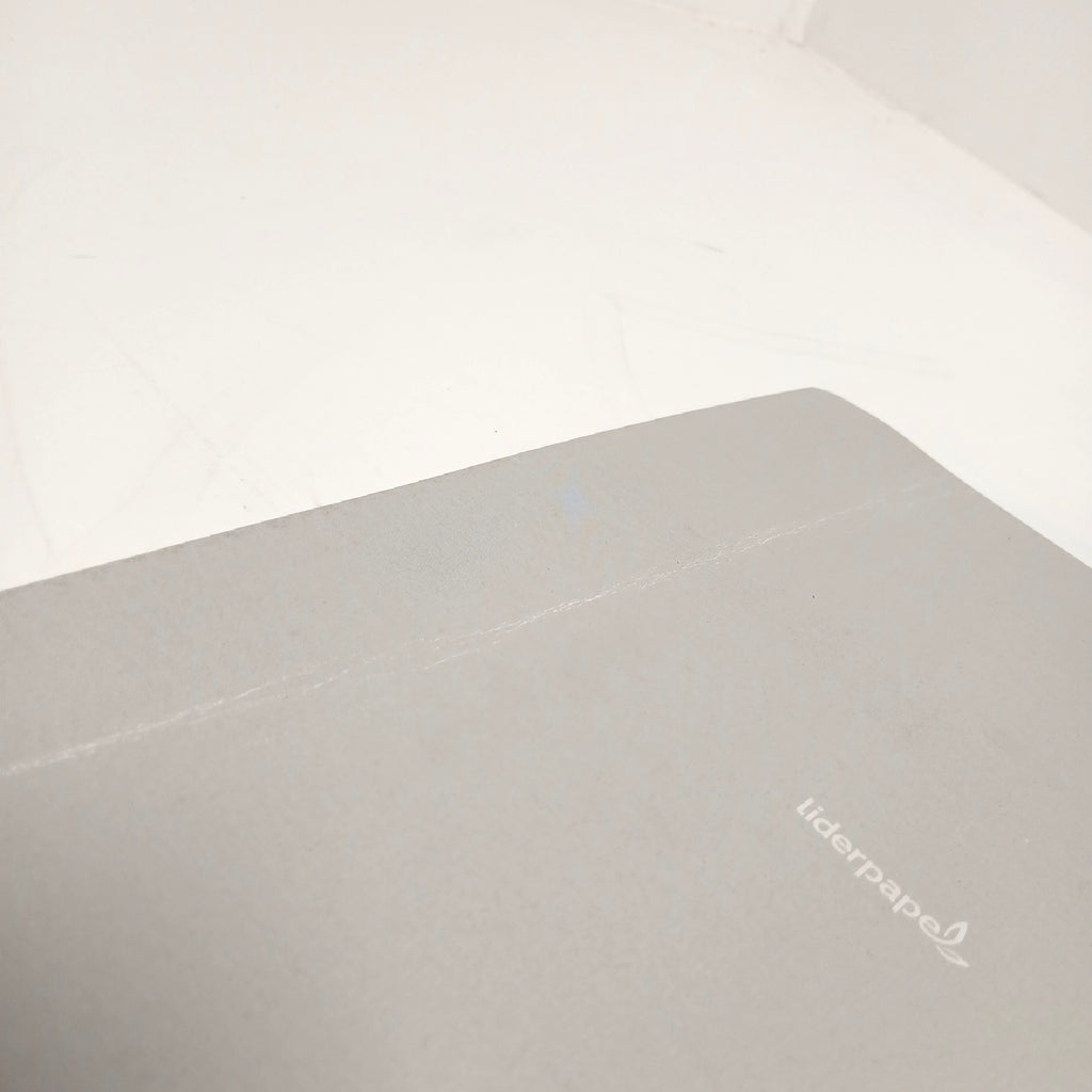 Liderpapel Notizbuch Smart Softcover 80 Seiten 60 Gramm Papier – Gut