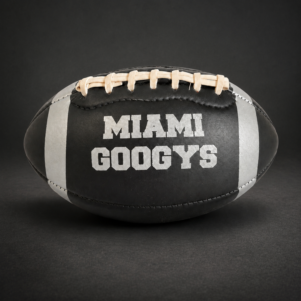 GOOGYS Mini American Football – Schwarz/Silber – 22 × 14 cm