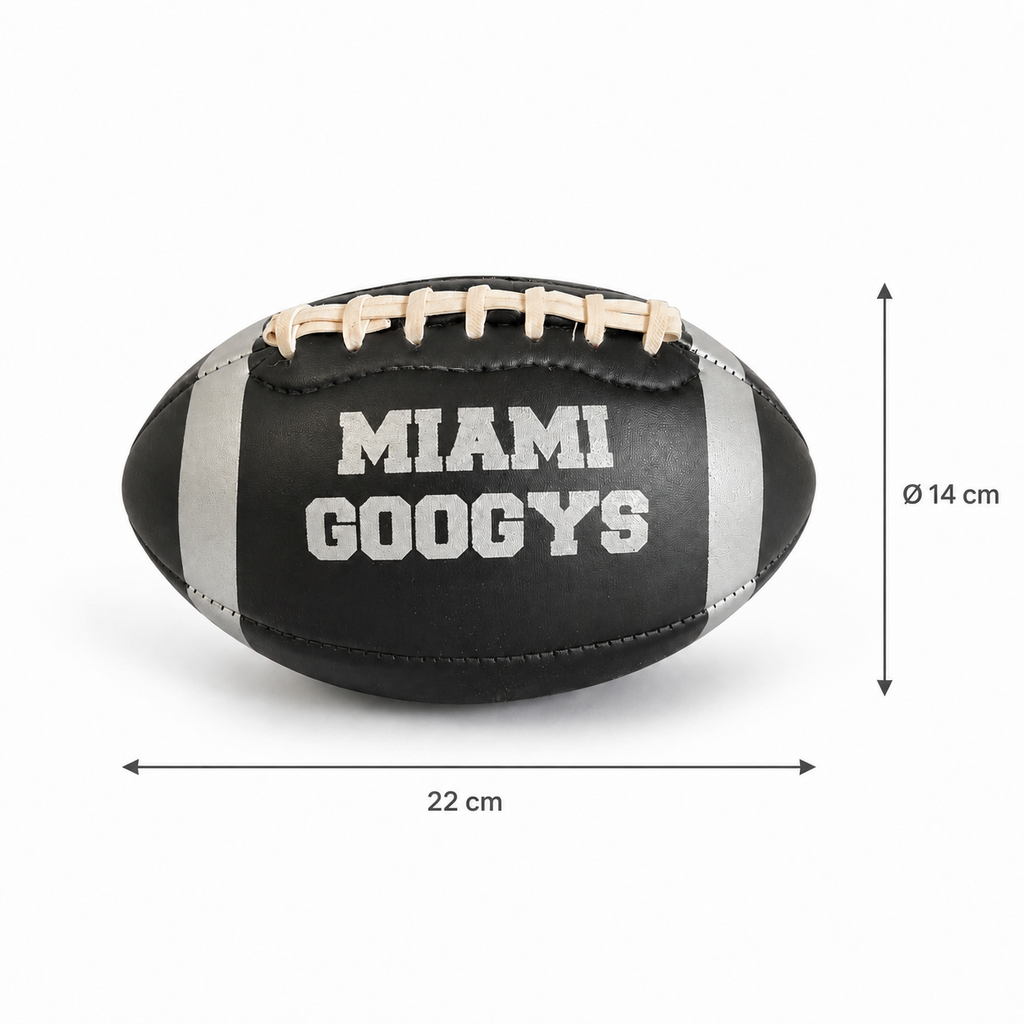 GOOGYS Mini American Football – Schwarz/Silber – 22 × 14 cm